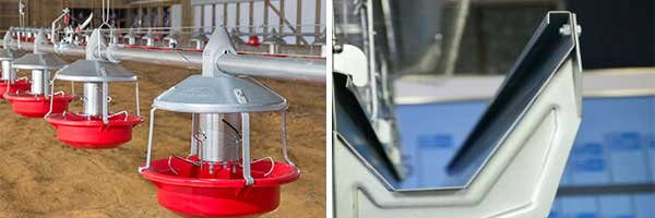 poultry-feeding-systems-machine